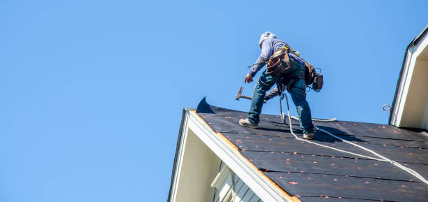 Best Roof Gutter Cleaning  in Knob Noster, MO